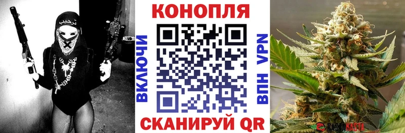 Марихуана планчик  Малаховка 